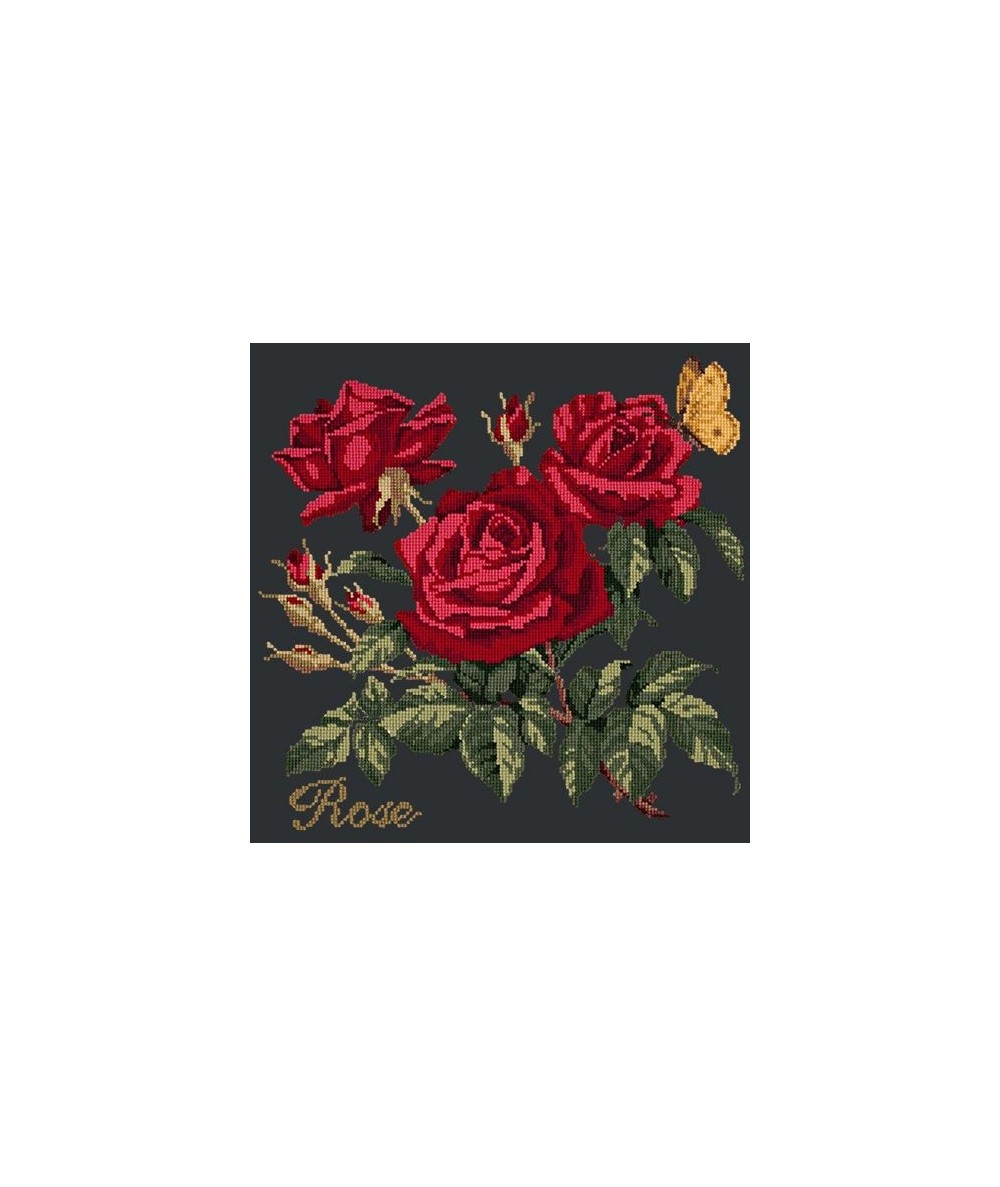 Elizabeth Bradley, Cottage Garden, ROSE - 16x16 pollici Elizabeth Bradley - 18