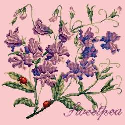Elizabeth Bradley, Cottage Garden, SWEETPEA - 16x16 pollici Elizabeth Bradley - 2