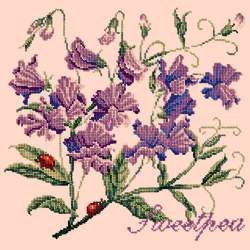 Elizabeth Bradley, Cottage Garden, SWEETPEA - 16x16 pollici Elizabeth Bradley - 3