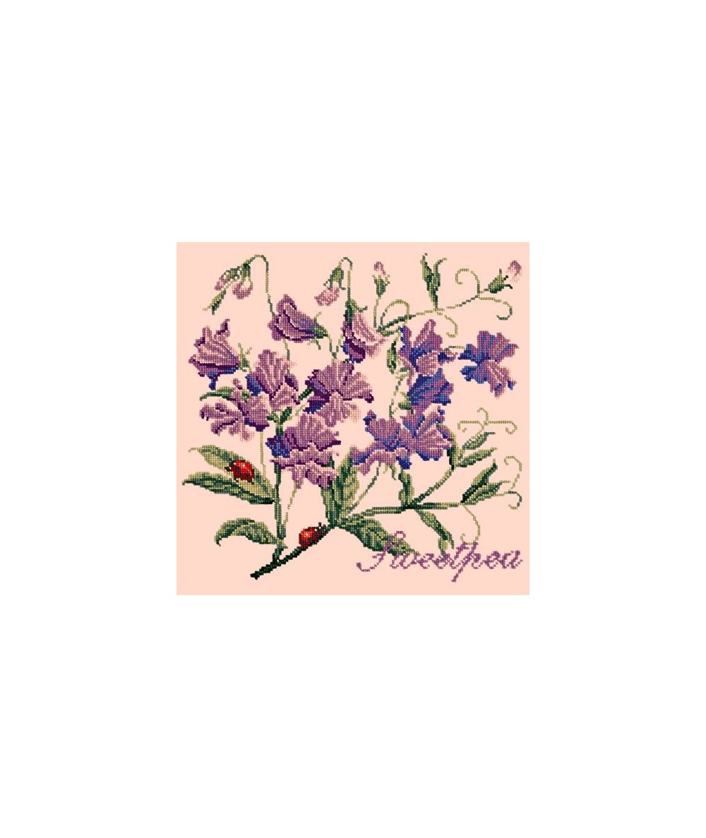 Elizabeth Bradley, Cottage Garden, SWEETPEA - 16x16 pollici Elizabeth Bradley - 3