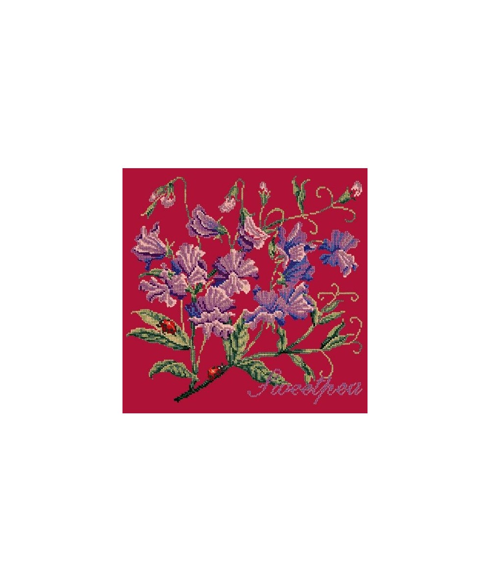 Elizabeth Bradley, Cottage Garden, SWEETPEA - 16x16 pollici Elizabeth Bradley - 4
