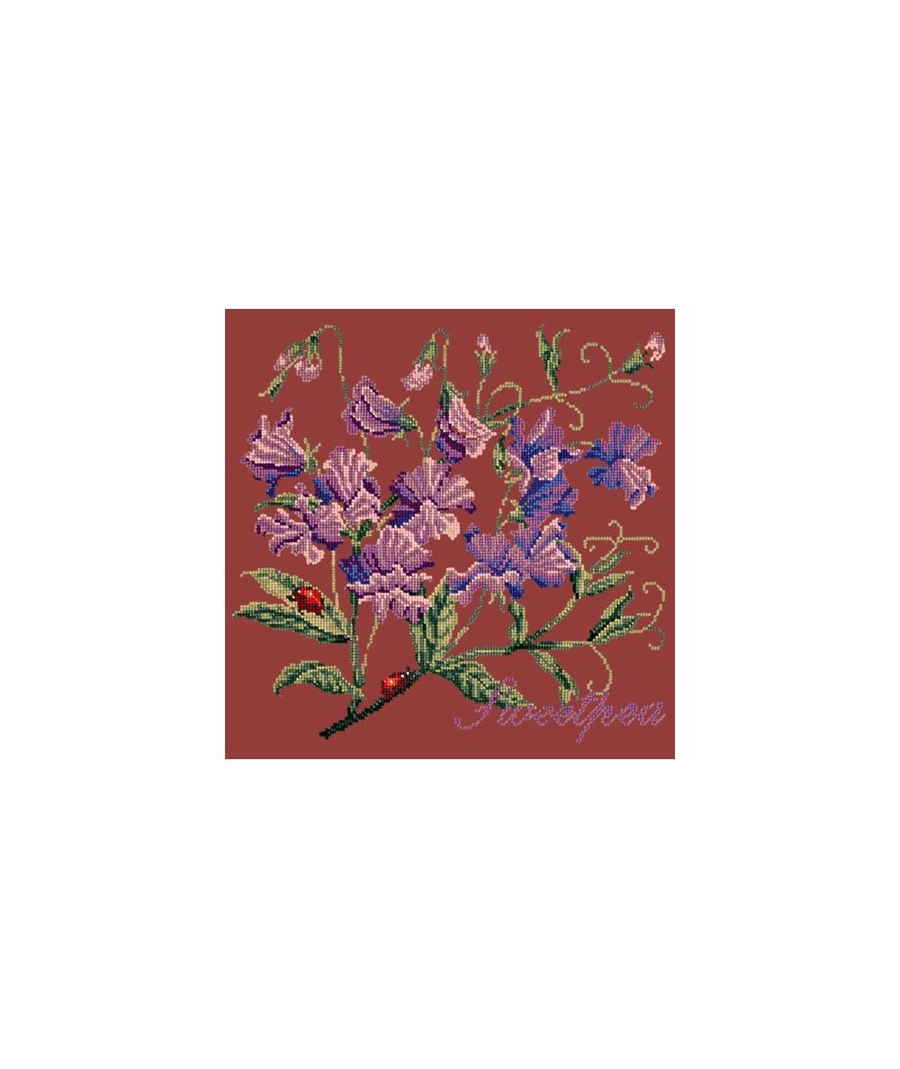 Elizabeth Bradley, Cottage Garden, SWEETPEA - 16x16 pollici Elizabeth Bradley - 5