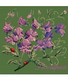 Elizabeth Bradley, Cottage Garden, SWEETPEA - 16x16 pollici Elizabeth Bradley - 6