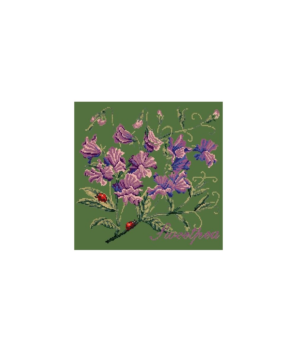Elizabeth Bradley, Cottage Garden, SWEETPEA - 16x16 pollici Elizabeth Bradley - 6