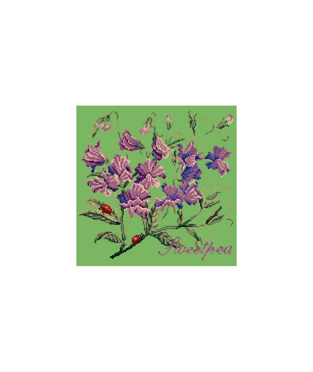 Elizabeth Bradley, Cottage Garden, SWEETPEA - 16x16 pollici Elizabeth Bradley - 7