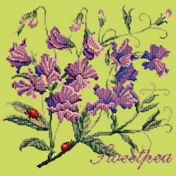 Elizabeth Bradley, Cottage Garden, SWEETPEA - 16x16 pollici Elizabeth Bradley - 8