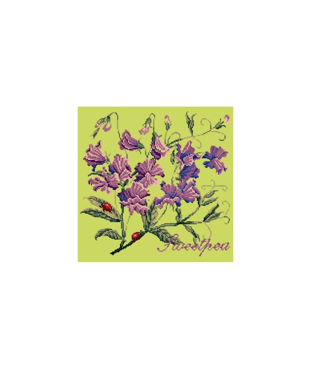 Elizabeth Bradley, Cottage Garden, SWEETPEA - 16x16 pollici Elizabeth Bradley - 8