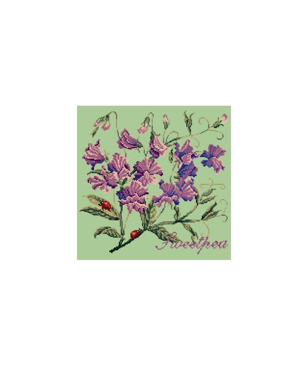 Elizabeth Bradley, Cottage Garden, SWEETPEA - 16x16 pollici Elizabeth Bradley - 9