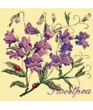 Elizabeth Bradley, Cottage Garden, SWEETPEA - 16x16 pollici Elizabeth Bradley - 10