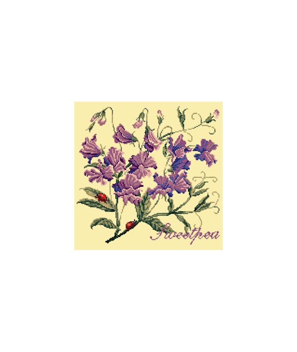 Elizabeth Bradley, Cottage Garden, SWEETPEA - 16x16 pollici Elizabeth Bradley - 10