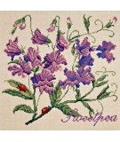 Elizabeth Bradley, Cottage Garden, SWEETPEA - 16x16 pollici Elizabeth Bradley - 12