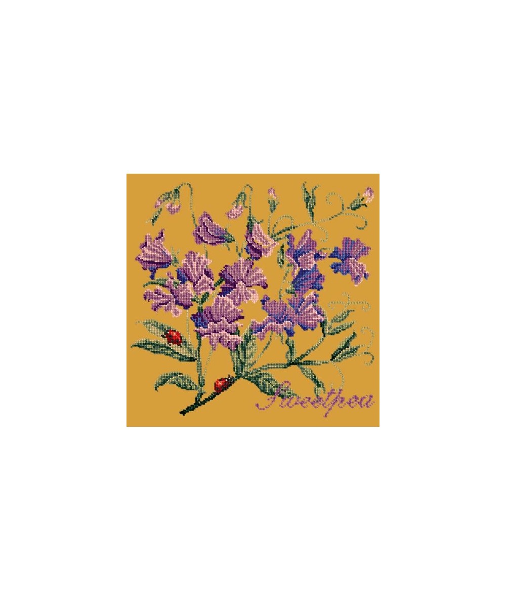 Elizabeth Bradley, Cottage Garden, SWEETPEA - 16x16 pollici Elizabeth Bradley - 13