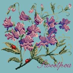 Elizabeth Bradley, Cottage Garden, SWEETPEA - 16x16 pollici Elizabeth Bradley - 15