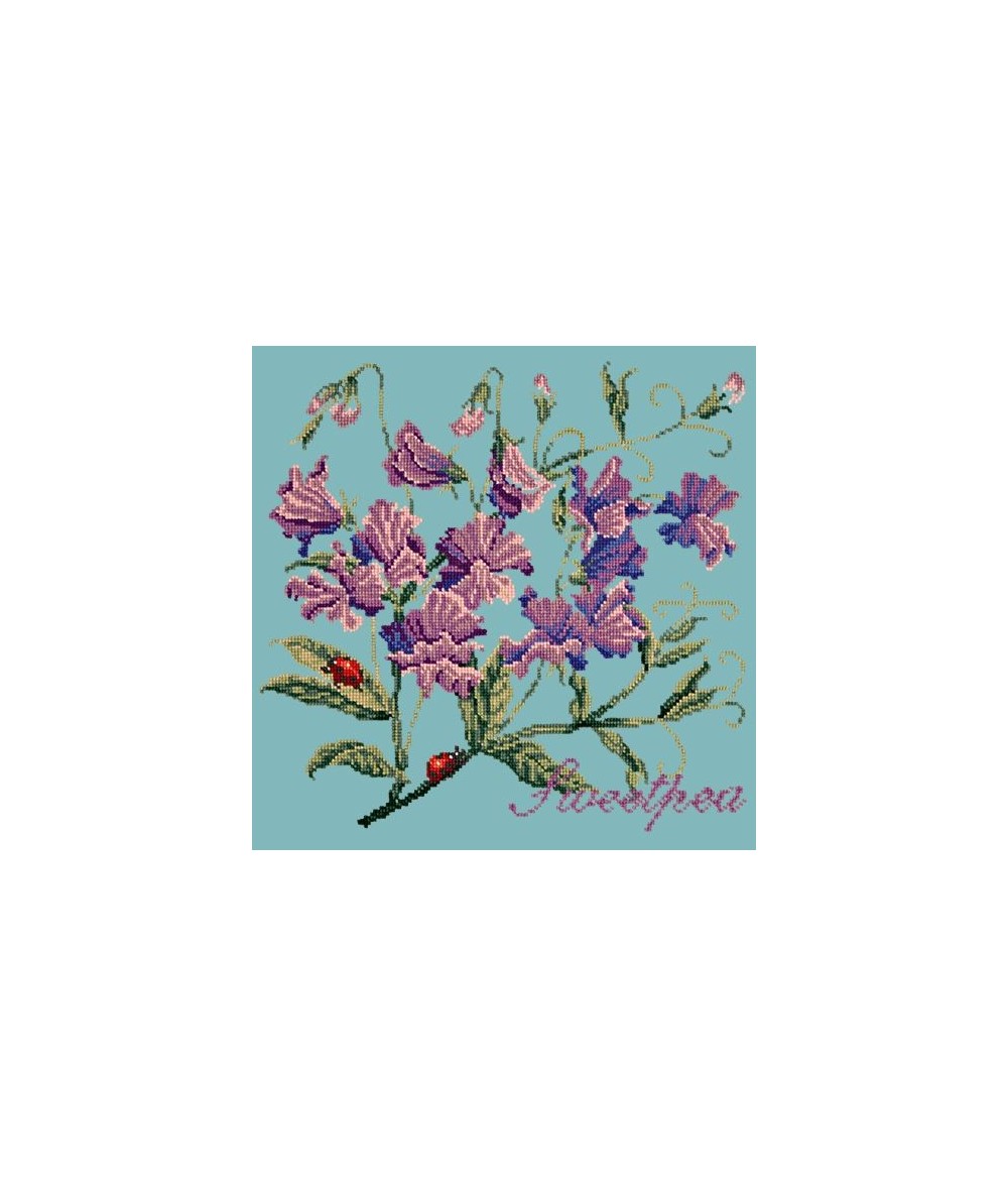 Elizabeth Bradley, Cottage Garden, SWEETPEA - 16x16 pollici Elizabeth Bradley - 15