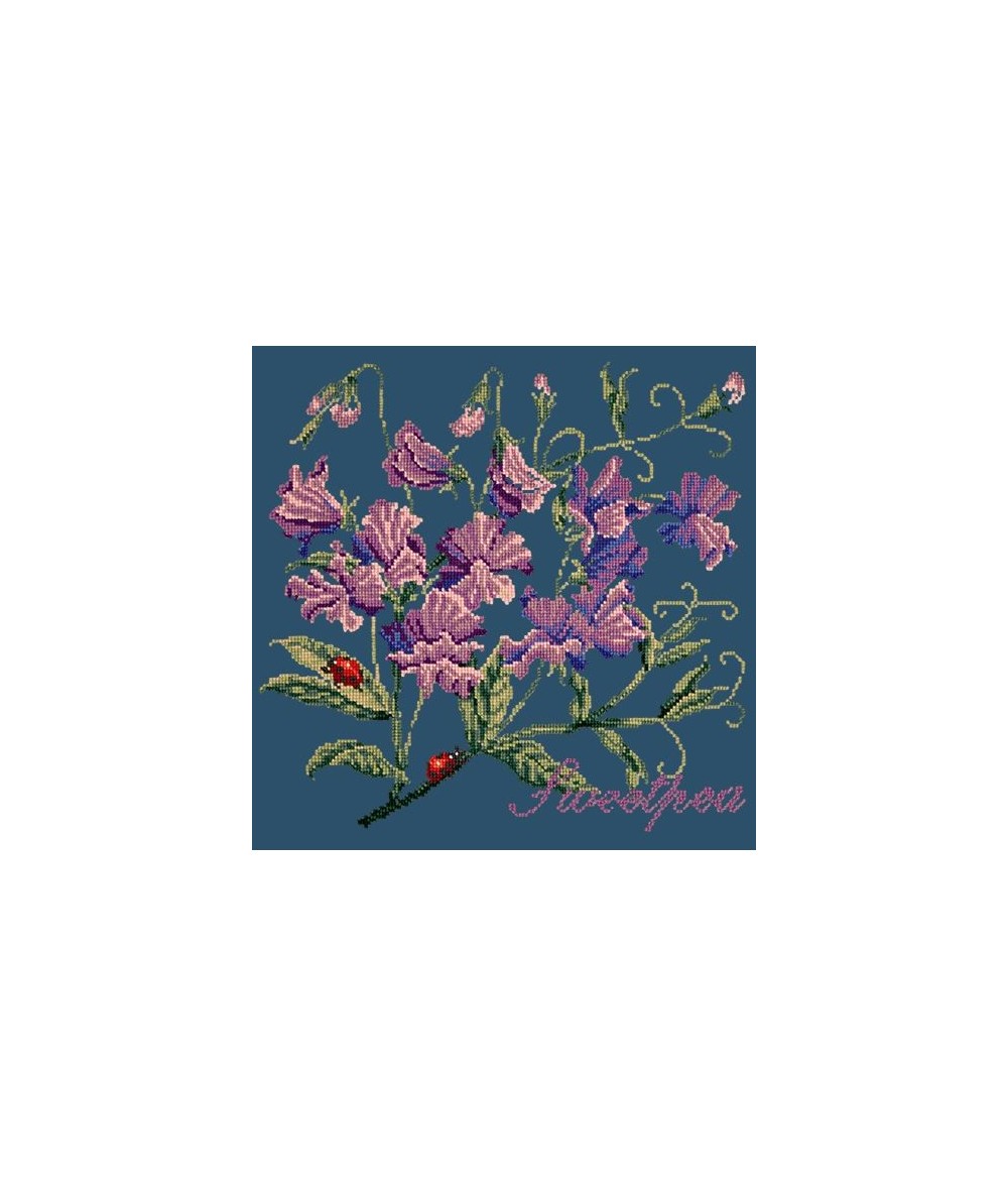 Elizabeth Bradley, Cottage Garden, SWEETPEA - 16x16 pollici Elizabeth Bradley - 16