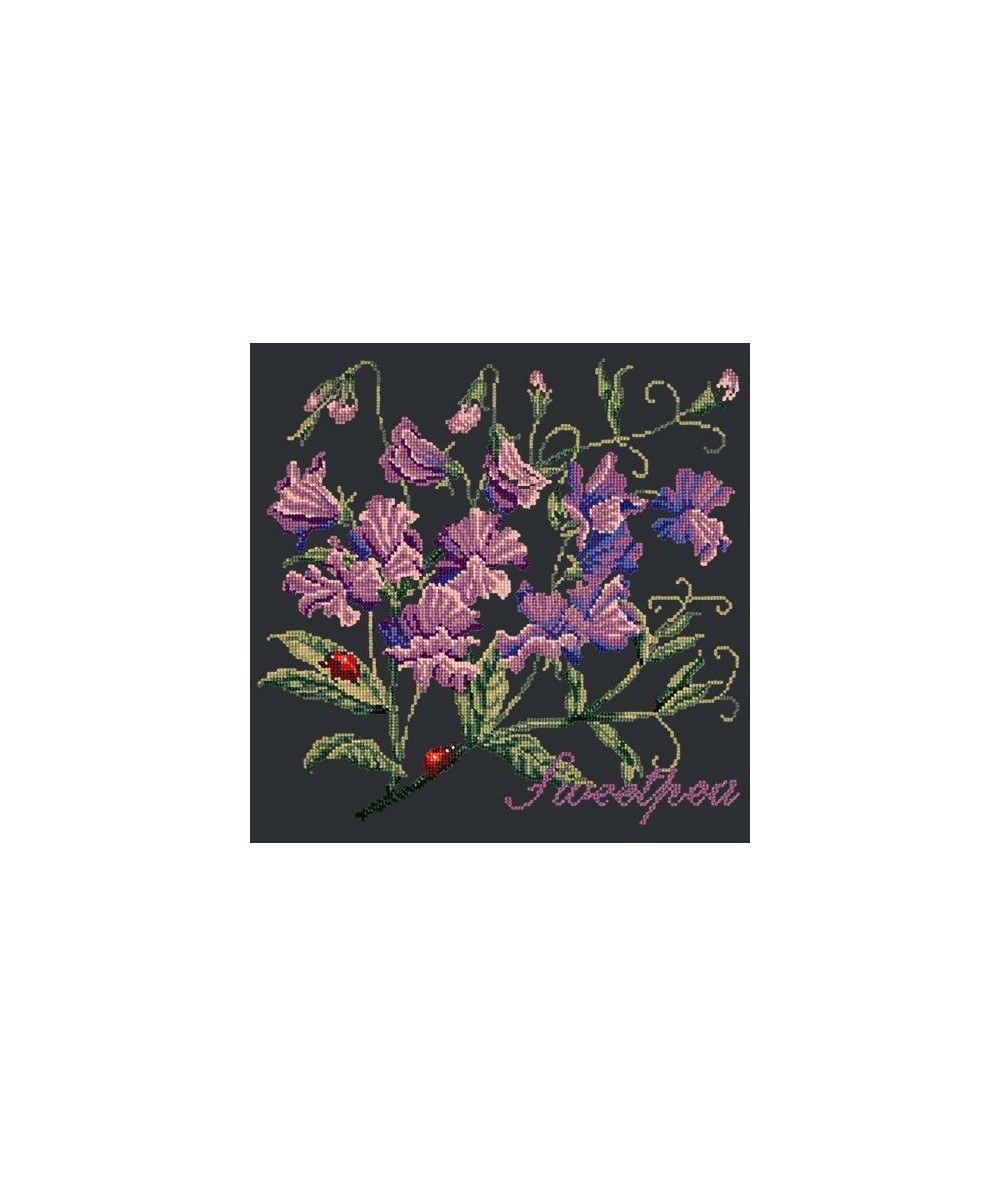 Elizabeth Bradley, Cottage Garden, SWEETPEA - 16x16 pollici Elizabeth Bradley - 18