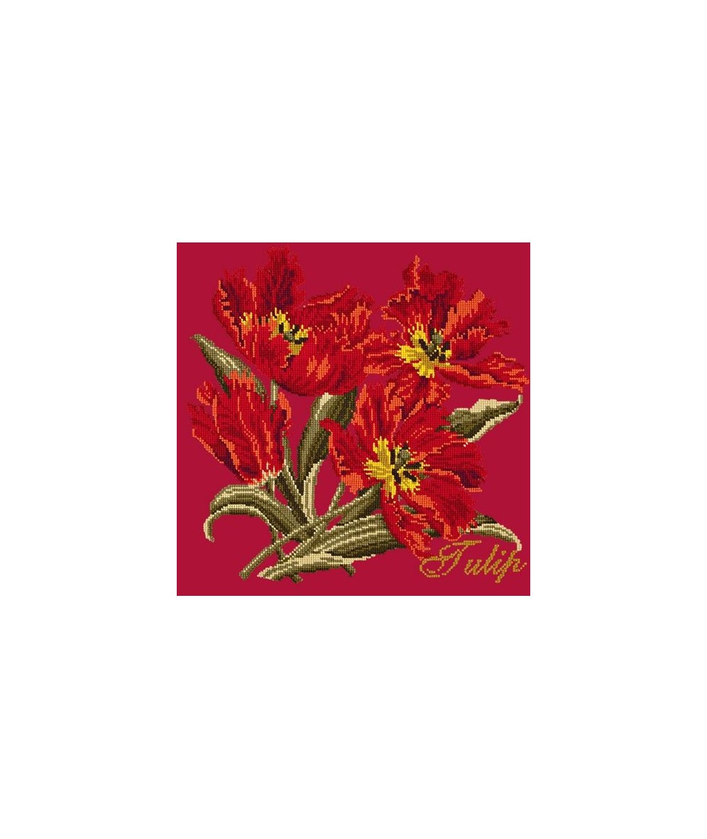 Elizabeth Bradley, Cottage Garden, TULIP - 16x16 pollici Elizabeth Bradley - 4