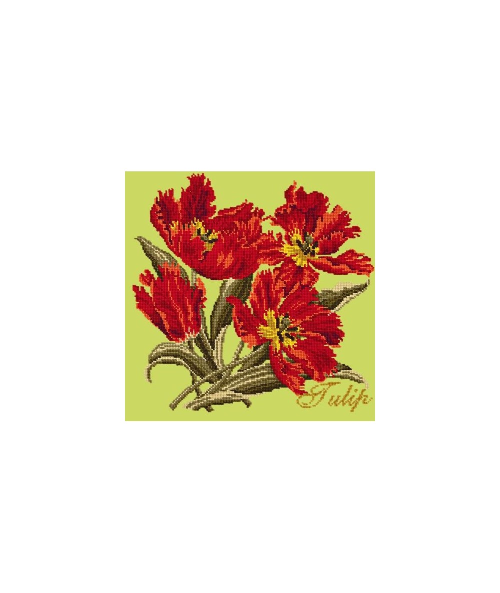 Elizabeth Bradley, Cottage Garden, TULIP - 16x16 pollici Elizabeth Bradley - 8