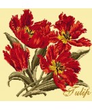 Elizabeth Bradley, Cottage Garden, TULIP - 16x16 pollici Elizabeth Bradley - 10