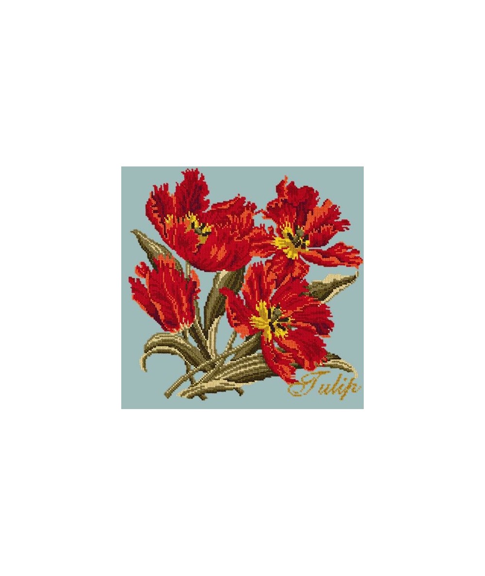 Elizabeth Bradley, Cottage Garden, TULIP - 16x16 pollici Elizabeth Bradley - 14