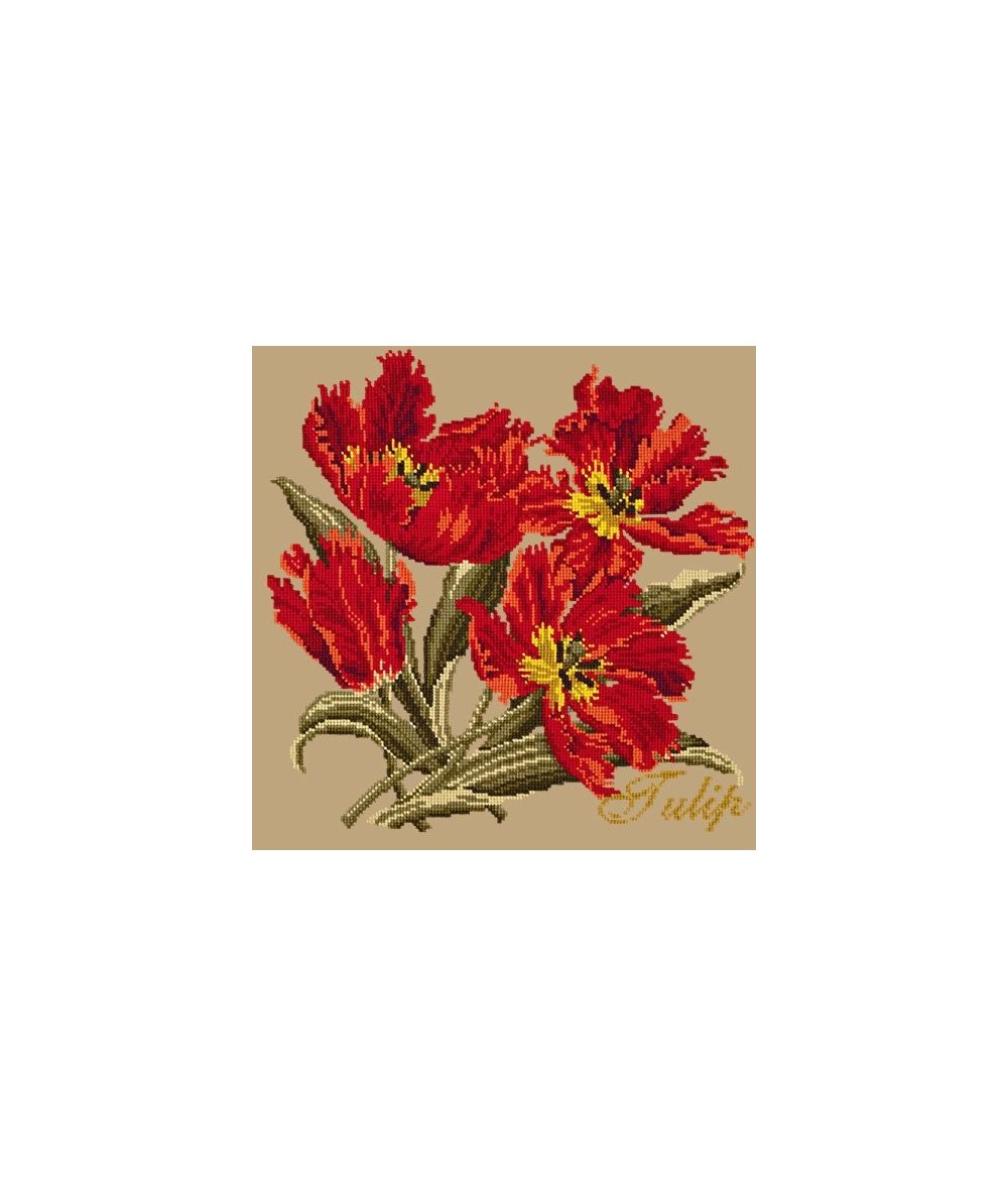 Elizabeth Bradley, Cottage Garden, TULIP - 16x16 pollici Elizabeth Bradley - 17