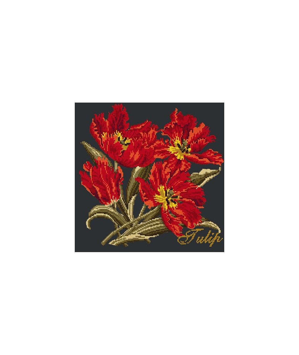 Elizabeth Bradley, Cottage Garden, TULIP - 16x16 pollici Elizabeth Bradley - 18
