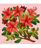 Elizabeth Bradley, Evergreens, AZALEA - 16x16 pollici Elizabeth Bradley - 2