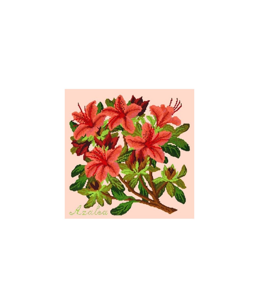 Elizabeth Bradley, Evergreens, AZALEA - 16x16 pollici Elizabeth Bradley - 3