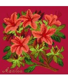 Elizabeth Bradley, Evergreens, AZALEA - 16x16 pollici Elizabeth Bradley - 4