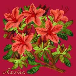 Elizabeth Bradley, Evergreens, AZALEA - 16x16 pollici Elizabeth Bradley - 4