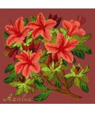 Elizabeth Bradley, Evergreens, AZALEA - 16x16 pollici Elizabeth Bradley - 5