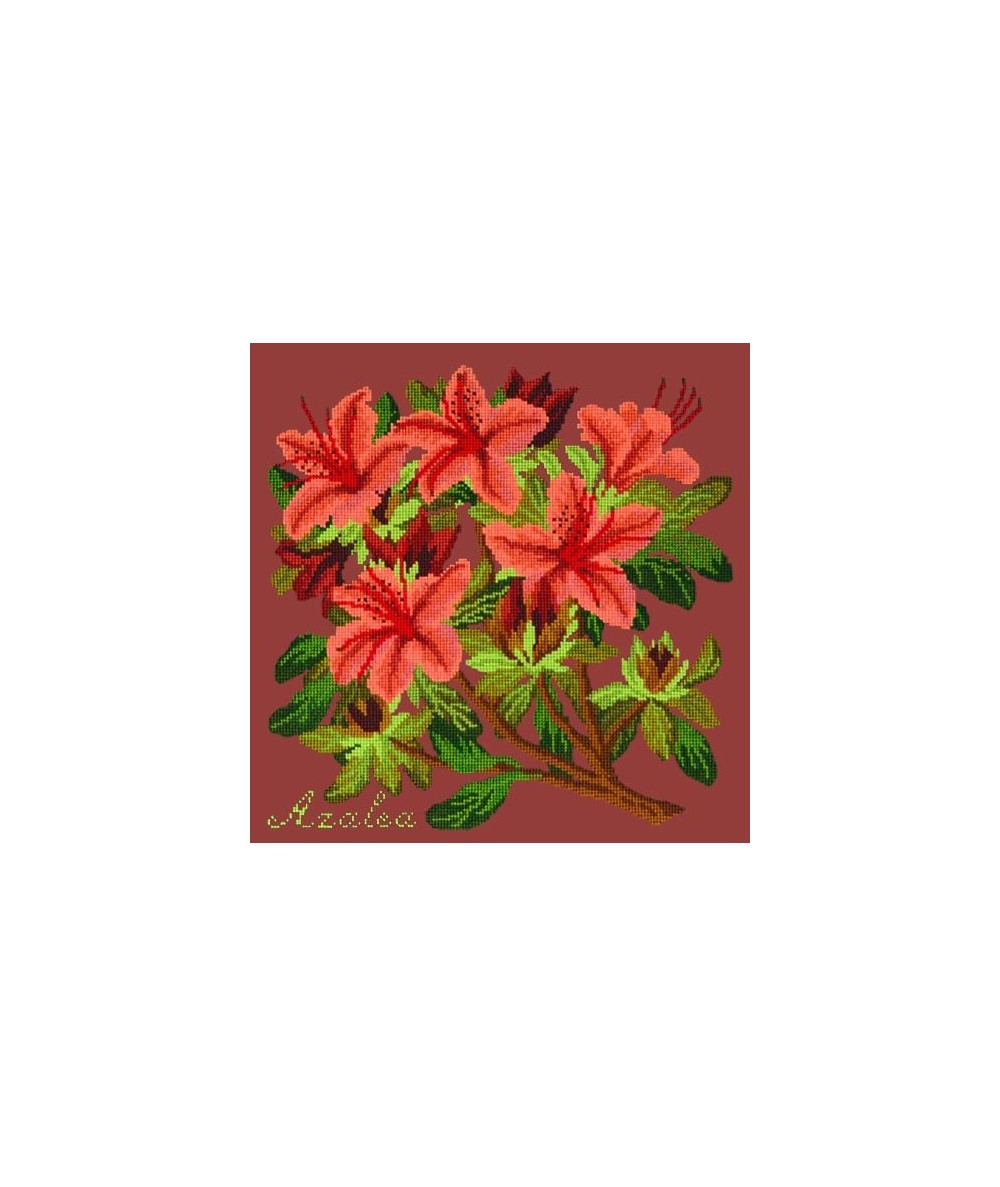 Elizabeth Bradley, Evergreens, AZALEA - 16x16 pollici Elizabeth Bradley - 5