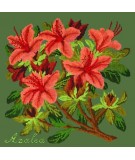 Elizabeth Bradley, Evergreens, AZALEA - 16x16 pollici Elizabeth Bradley - 6