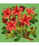 Elizabeth Bradley, Evergreens, AZALEA - 16x16 pollici Elizabeth Bradley - 7
