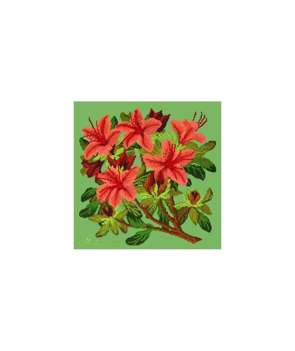 Elizabeth Bradley, Evergreens, AZALEA - 16x16 pollici Elizabeth Bradley - 7
