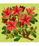 Elizabeth Bradley, Evergreens, AZALEA - 16x16 pollici Elizabeth Bradley - 8