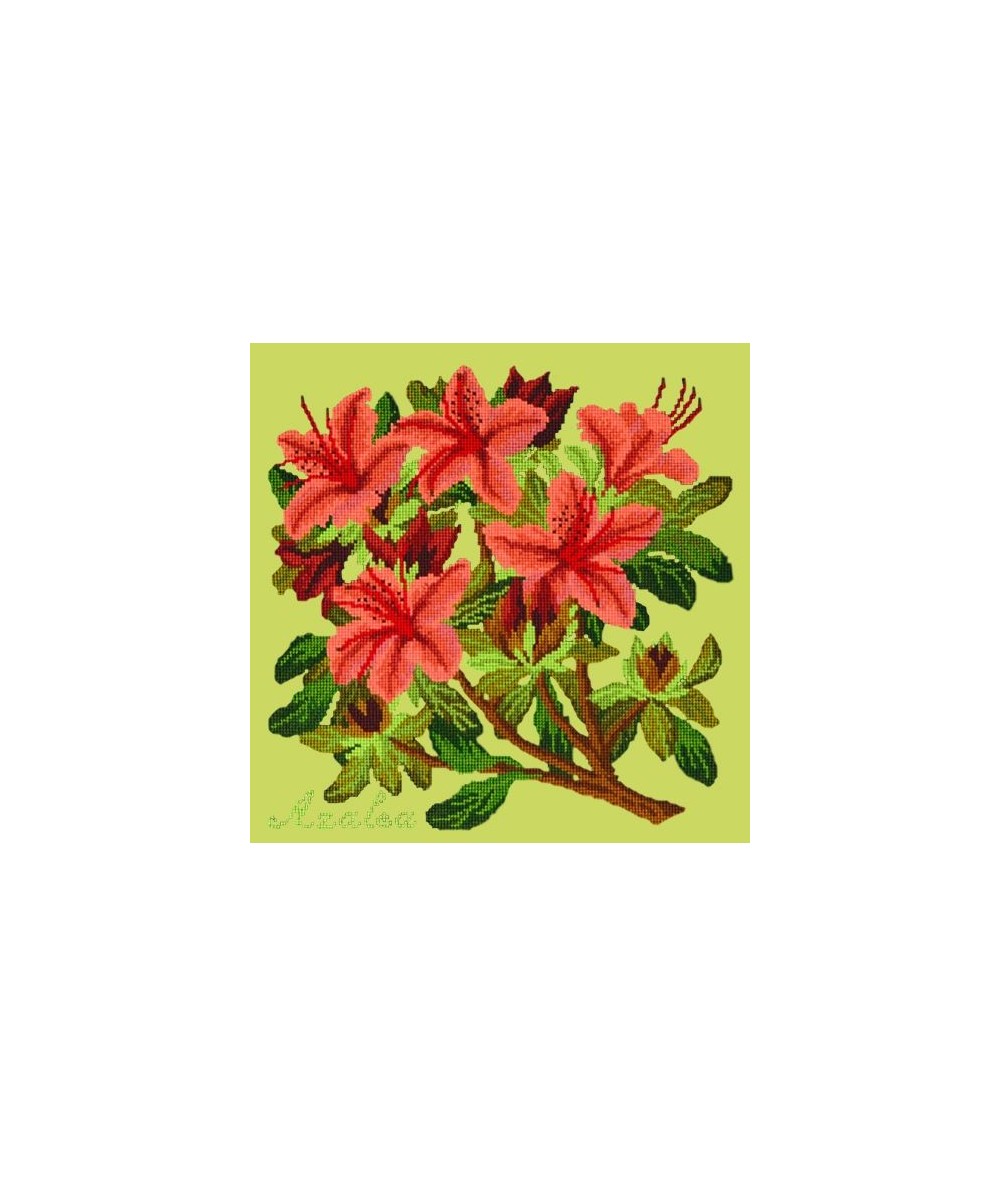 Elizabeth Bradley, Evergreens, AZALEA - 16x16 pollici Elizabeth Bradley - 8