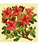 Elizabeth Bradley, Evergreens, AZALEA - 16x16 pollici Elizabeth Bradley - 10
