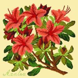 Elizabeth Bradley, Evergreens, AZALEA - 16x16 pollici Elizabeth Bradley - 10