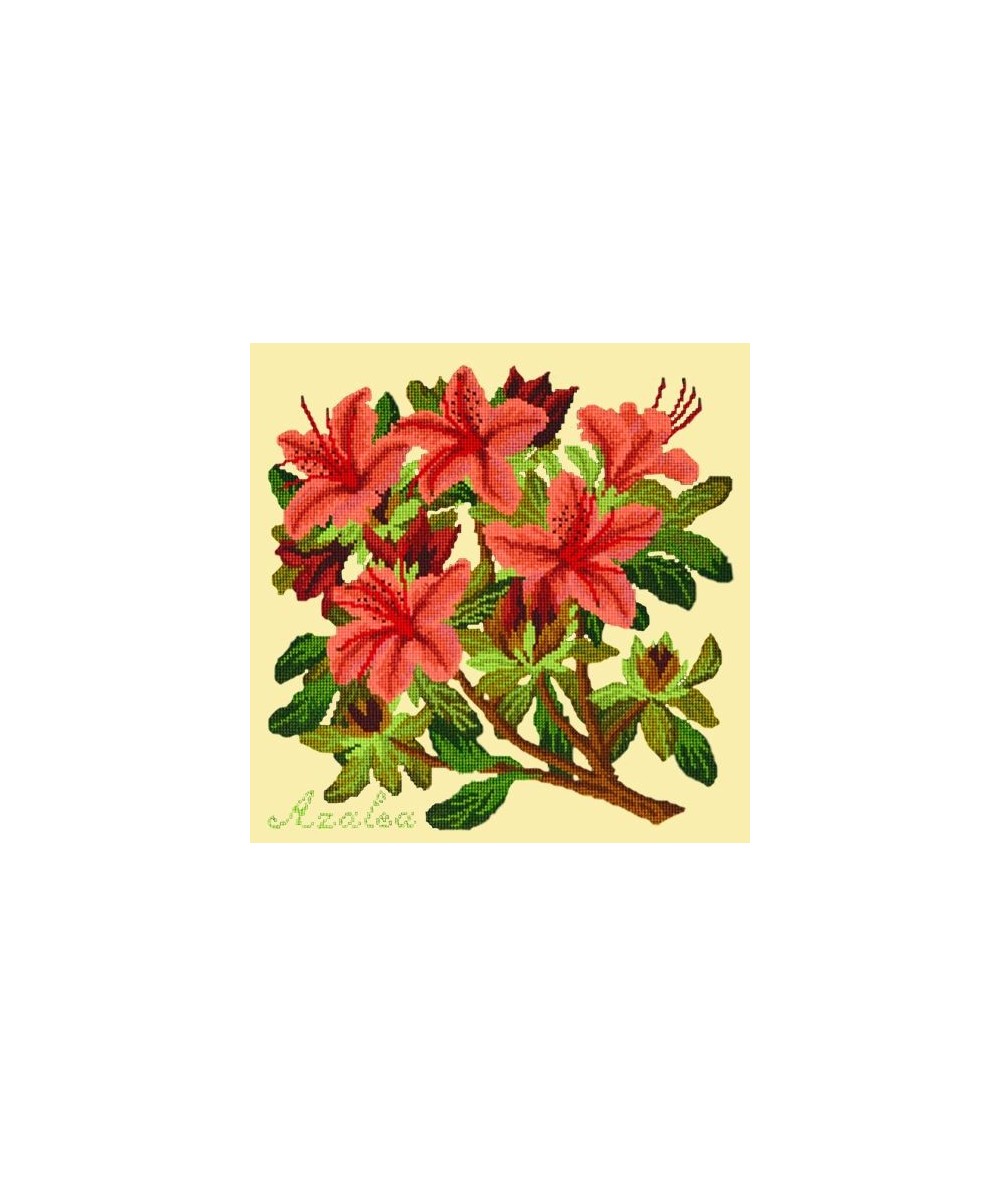 Elizabeth Bradley, Evergreens, AZALEA - 16x16 pollici Elizabeth Bradley - 10