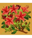 Elizabeth Bradley, Evergreens, AZALEA - 16x16 pollici Elizabeth Bradley - 13