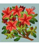 Elizabeth Bradley, Evergreens, AZALEA - 16x16 pollici Elizabeth Bradley - 14