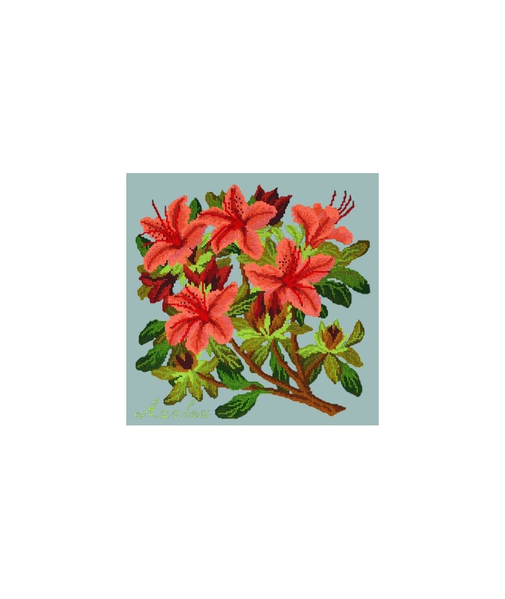 Elizabeth Bradley, Evergreens, AZALEA - 16x16 pollici Elizabeth Bradley - 14
