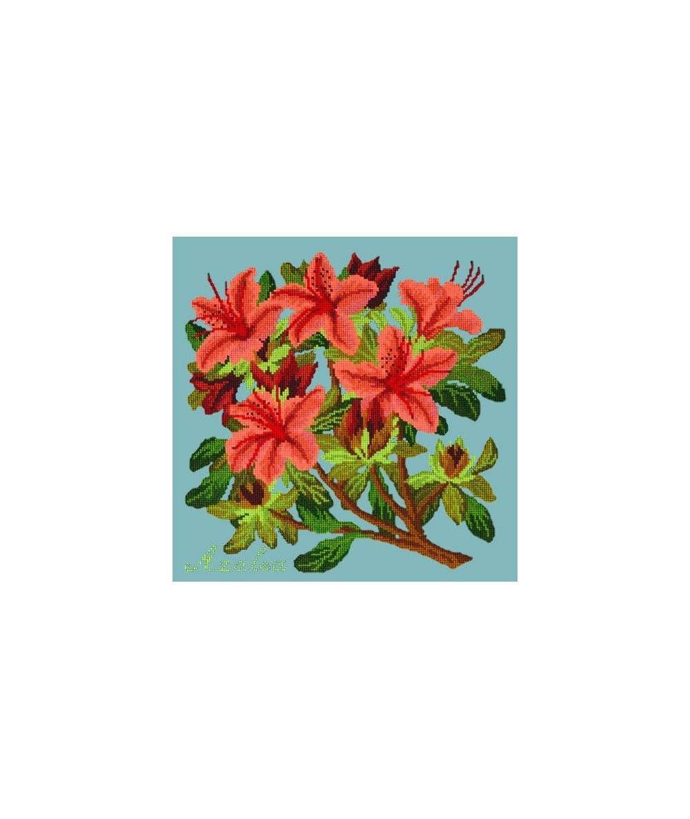 Elizabeth Bradley, Evergreens, AZALEA - 16x16 pollici Elizabeth Bradley - 15
