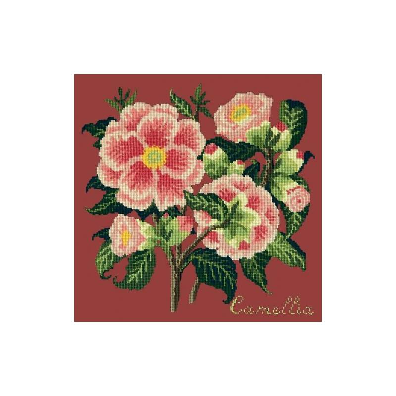 Elizabeth Bradley, Evergreens, CAMELLIA - 16x16 pollici Elizabeth Bradley - 5