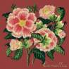 Elizabeth Bradley, Evergreens, CAMELLIA - 16x16 pollici Elizabeth Bradley - 5