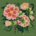 Elizabeth Bradley, Evergreens, CAMELLIA - 16x16 pollici Elizabeth Bradley - 6