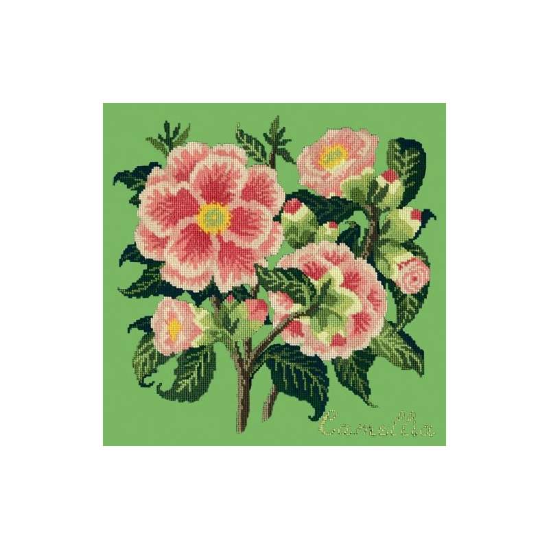 Elizabeth Bradley, Evergreens, CAMELLIA - 16x16 pollici Elizabeth Bradley - 7