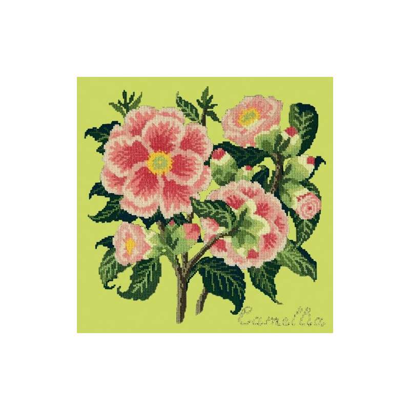 Elizabeth Bradley, Evergreens, CAMELLIA - 16x16 pollici Elizabeth Bradley - 8