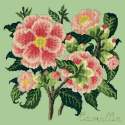 Elizabeth Bradley, Evergreens, CAMELLIA - 16x16 pollici Elizabeth Bradley - 9